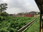 50866CIMG0566.JPG