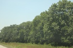 2024-06-17_22-14-48_00945C3B-1025-4E52-9CBA-E48A52DE4C39.jpeg