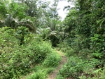 46352CIMG0641.JPG