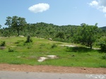 19530P1010377.JPG