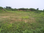 835R0015383.jpg