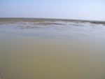 4552RIMG0006-2.JPG