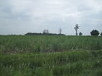34449IMG_5432.JPG
