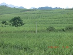 34791CIMG2622.JPG