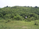 736R0015244.jpg