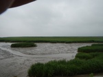 54413DSCN1693.JPG
