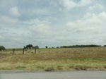 35927DSC02695.JPG