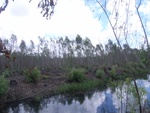 26175RIMG0227.JPG