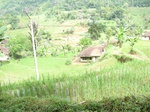 15130IMG_3950.JPG