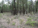 43720NSW004_L1.jpg