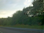 57781IMG_1068.JPG