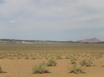 37416CIMG1218.JPG
