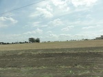 35564DSC02064.JPG