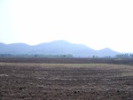 28182RIMG0171.JPG