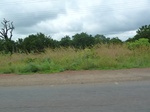 20908P1020775.JPG