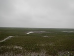 54500DSCN1782.JPG