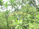 49326CIMG5663.JPG