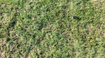33813CIMG2509.JPG