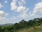 52017CIMG0768.JPG