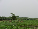 44216CIMG1401.JPG