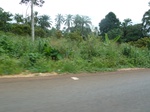 20699P1020556.JPG