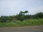 3727RIMG0030.JPG
