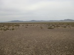 37197CIMG0995.JPG