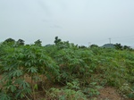 18557P1000393.JPG