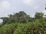 48968CIMG5305.JPG