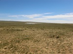 37920CIMG1727.JPG