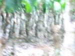 50559CIMG1188.JPG