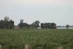 2024-08-05_16-09-00_5154FB83-9117-451F-B610-DE8AC8C306D0.jpeg