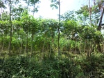 31448CIMG1312.JPG