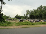 22043DSC00166.JPG