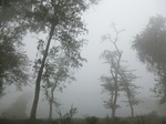 40280CIMG9023.JPG