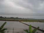 14465IMG_4822.JPG