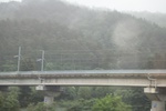 2024-08-05_13-43-54_85477716-C929-450E-9309-F4516FEC915E.jpeg
