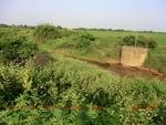 38861CIMG4304.gps.jpg