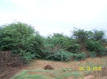 1708418042008(11).JPG