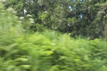 2024-11-21_16-12-53_AA5DECC5-6B4B-4CE1-AABA-13D34388F2EF.jpeg