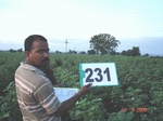 128250231a-rainfed-agriculture-cotton-dominant-sorghum.gif
