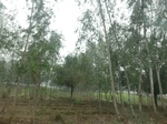 40109CIMG9175.JPG