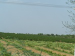 1769622042008(75).JPG