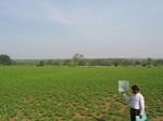 9313gt035b-cropland-rainfed-mixed-crops.gif