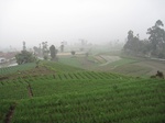 15018IMG_3829.JPG