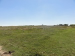 24704DSC01128.JPG