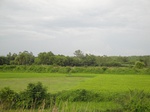 21388DSC00667.JPG
