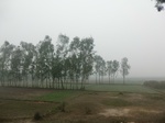 40093CIMG9158.JPG