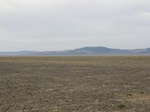 37209CIMG1007.JPG