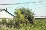 2024-08-05_14-07-06_02E0F0A0-F6B7-4109-8183-4ED58F79CEF2.jpeg